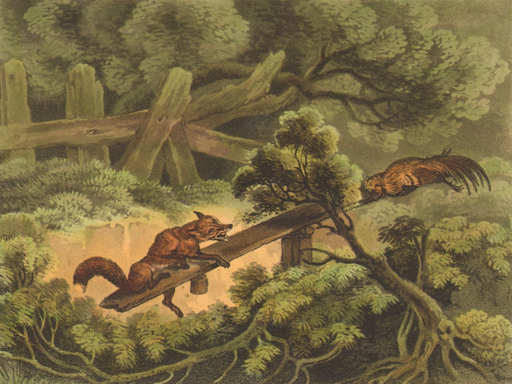 GERMANY. German Fox Trap. Carrion bait (Field Sports- Edward Orme)  1814 print